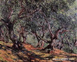 Olive Trees in Bordighera