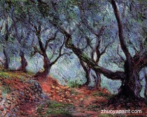 Grove of Olive Trees in Bordighera
