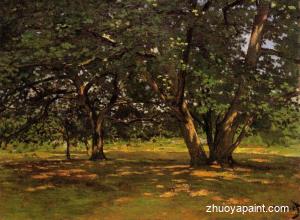 Fontainebleau Forest