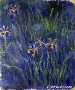 Irises