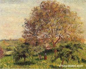 Walnut Tree in Spring