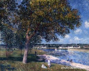 Walnut Tree in a Thomery Field