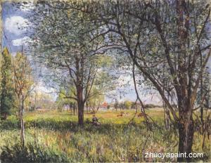 Willows in a field - afternoon