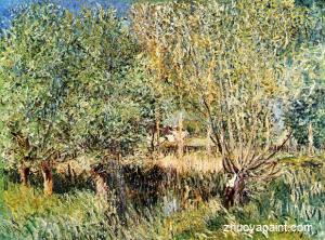 Willows on the Banks of the Orvanne