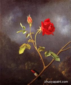 Red Rose with Ruby Throat