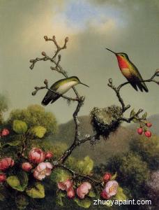 Ruby Throat of North America