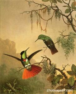 Two Hooded Visorbearer Hummingbirds
