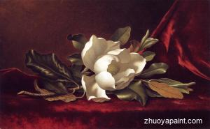 The Magnolia Blossom