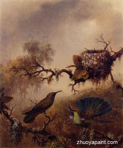 White-Vented Violet-Eared