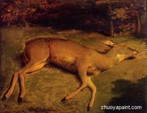 Dead Deer