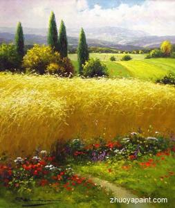 Flower Field Scenery